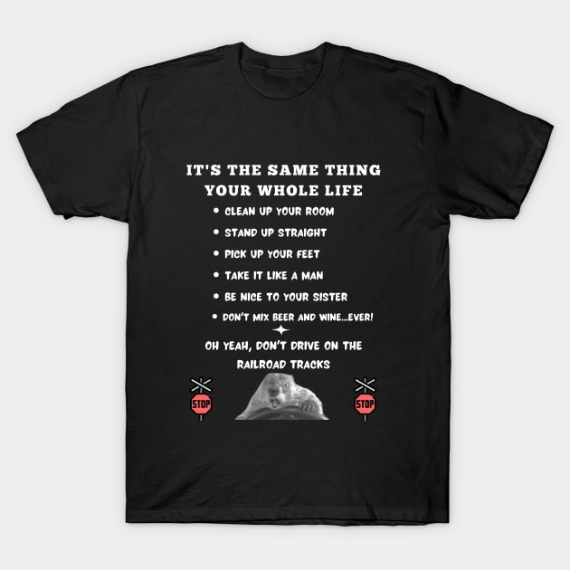 Phil Connors' Rules to Live By T-Shirt by TorrezvilleTees